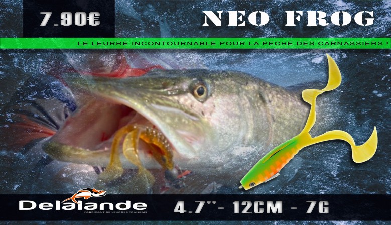 Neo Frog 12cm 7gr - Delalande
